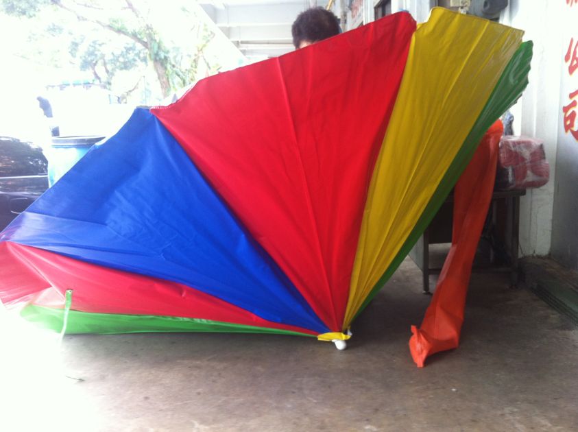 Beach Umbrella